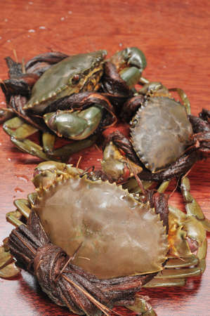 Crab from the Mekong delta on a confrontationの写真素材