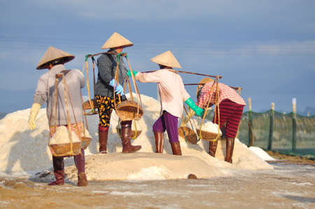 NINH HOA, VIETNAM - MARCH 2, 2012: Vietnamese women are burdening hard to collect salt from the extract fields to the storage fieldsのeditorial素材