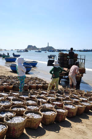 LAGI, VIETNAM - FEBRUARY 26, 2012: Fisheries are located on the beach in many baskets waiting for uploading onto the truck to the processing plantのeditorial素材