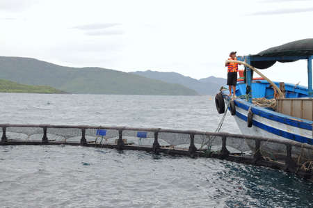 NHA TRANG, VIETNAM - JUNE 23, 2013: Feeding barramundi fish by machine in cage culture in the Van...