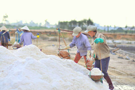 NINH HOA, VIETNAM - MARCH 2, 2012: Vietnamese women are burdening hard to collect salt from the extract fields to the storage fieldsのeditorial素材