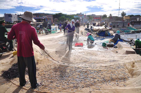 QUANG NGAI, VIETNAM - JULY 31, 2012: Fishermen are removing anchovies fish from their nets to start...