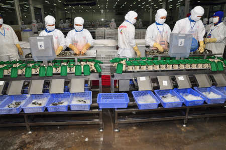 HAU GIANG, VIETNAM - JUNE 23, 2013: Workers are working with a shrimp sizing machine in a processing plant in Hau Giang, a province in the Mekong delta of Vietnamのeditorial素材
