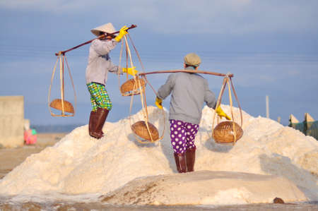NINH HOA, VIETNAM - MARCH 2, 2012: Vietnamese women are burdening hard to collect salt from the extract fields to the storage fieldsのeditorial素材