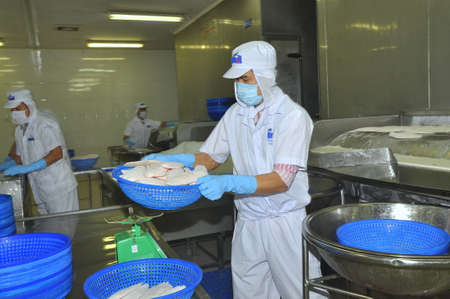 TIEN GIANG, VIETNAM - MARCH 2, 2013: Workers are weighing pangasius fish fillets in a seafood...