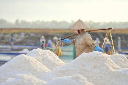 NINH HOA, VIETNAM - MARCH 2, 2012: Vietnamese women are burdening hard to collect salt from the extract fields to the storage fieldsのeditorial素材