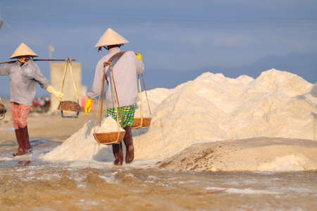 NINH HOA, VIETNAM - MARCH 2, 2012: Vietnamese women are burdening hard to collect salt from the extract fields to the storage fieldsのeditorial素材