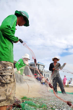 QUANG NGAI, VIETNAM - JULY 31, 2012: Fishermen are removing anchovies fish from their nets to start a new working day in Ly Son islandのeditorial素材