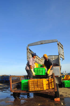 LAGI, VIETNAM - FEBRUARY 26, 2012: Workers are loading forage fish onto the truck to the feed mill...