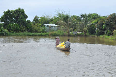 DONG THAP, VIETNAM - AUGUST 31, 2012: Farmers are feeding pangsius catfish in their pond in the mekong delta of Vietnamのeditorial素材