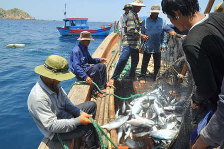NHA TRANG, VIETNAM - MAY 5, 2012: Fishermen are collecting tuna fish caught by trawl nets in the sea...
