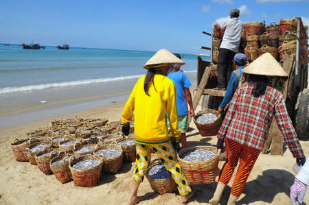 LAGI, VIETNAM - FEBRUARY 26, 2012: Local women are uploading fisheries onto the truck to the processing plant in Lagi beachのeditorial素材
