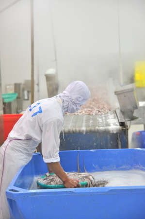 VUNG TAU, VIETNAM - DECEMBER 9, 2014: A worker is boiling octopus before transferring to process for...