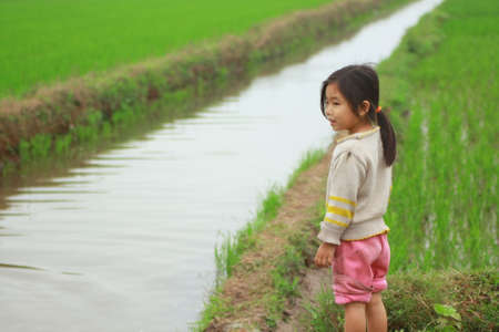 NAM DINH, VIETNAM - MARCH 28, 2010: A little girl is in the paddy field in the countryside of the North of Vietnamのeditorial素材