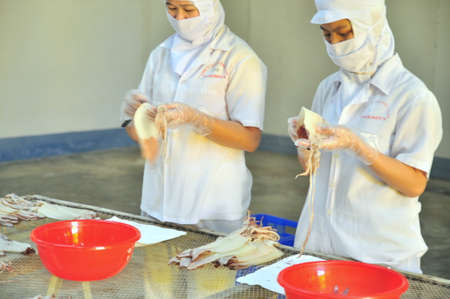 PHAN THIET, VIETNAM - DECEMBER 11, 2014: Workers are peeling dry squids for exporting in a seafood...