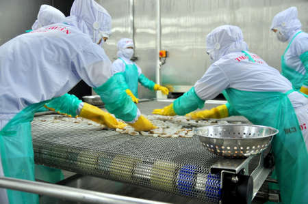 PHAN RANG, VIETNAM - DECEMBER 29, 2014: Workers are arranging shrimps in a line to the freezing...