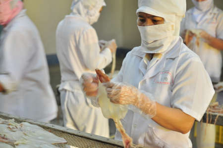 PHAN THIET, VIETNAM - DECEMBER 11, 2014: Workers are peeling dry squids for exporting in a seafood factory in Vietnamのeditorial素材