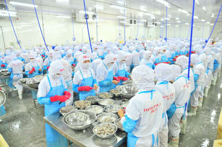PHAN RANG, VIETNAM - DECEMBER 29, 2014: Workers are peeling and processing fresh raw shrimps in a...