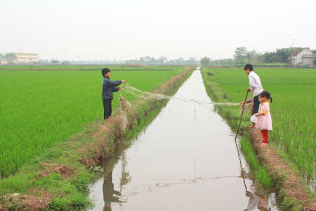 NAM DINH, VIETNAM - MARCH 28, 2010: Children are playing in the paddy field in the countryside of the North of Vietnamのeditorial素材