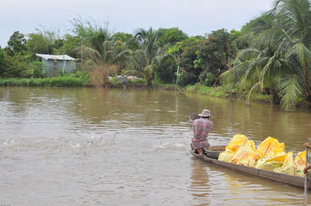DONG THAP, VIETNAM - AUGUST 31, 2012: Farmers are feeding pangsius catfish in their pond in the mekong delta of Vietnamのeditorial素材