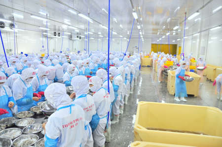PHAN RANG, VIETNAM - DECEMBER 29, 2014: Workers are peeling and processing fresh raw shrimps in a seafood factory in Vietnamのeditorial素材