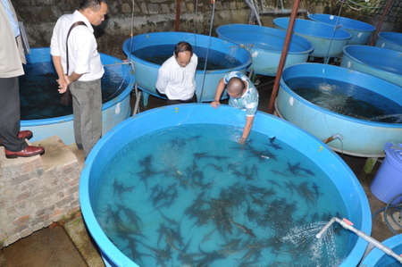 LAM DONG, VIETNAM - MAY 5, 2012: A sturgeon hatchery is being introduced to farmers in Tuyen Lam lake, Da Lat cityのeditorial素材