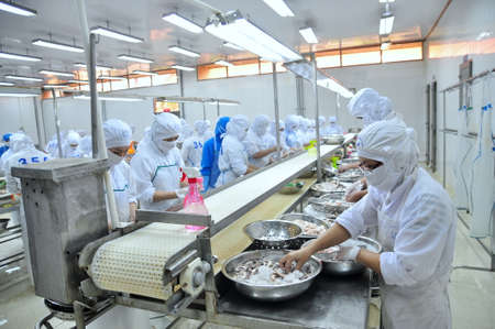 VUNG TAU, VIETNAM - DECEMBER 9, 2014: Workers are classifying octopus for exporting in a seafood processing factoryのeditorial素材
