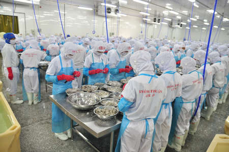 PHAN RANG, VIETNAM - DECEMBER 29, 2014: Workers are peeling and processing fresh raw shrimps in a seafood factory in Vietnamのeditorial素材