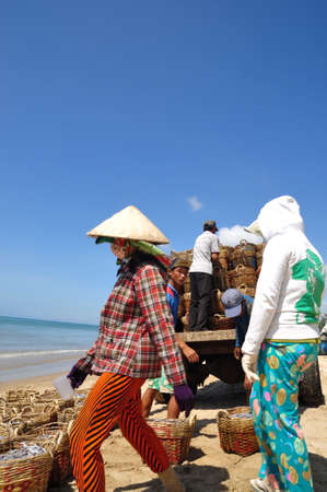 LAGI, VIETNAM - FEBRUARY 26, 2012: Local women are uploading fisheries onto the truck to the processing plant in Lagi beachのeditorial素材