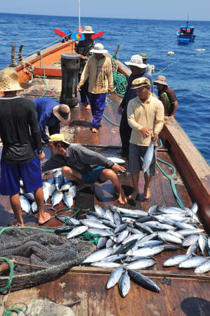 NHA TRANG, VIETNAM - MAY 5, 2012: Fishermen are collecting tuna fish caught by trawl nets in the sea of the Nha Trang bayのeditorial素材