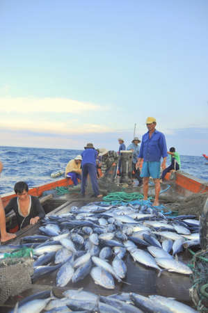 NHA TRANG, VIETNAM - MAY 5, 2012: Fishermen are collecting tuna fish caught by trawl nets in the sea of the Nha Trang bayのeditorial素材