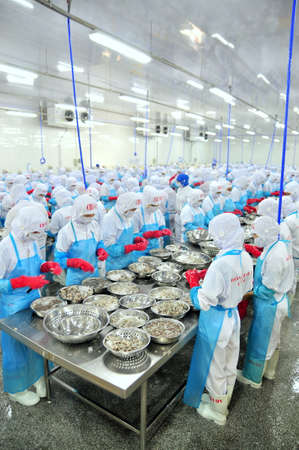 PHAN RANG, VIETNAM - DECEMBER 29, 2014: Workers are peeling and processing fresh raw shrimps in a seafood factory in Vietnamのeditorial素材