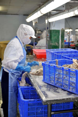 HO CHI MINH CITY, VIETNAM - OCTOBER 3, 2011: Workers are cutting raw fresh materials in a seafood factory in Ho Chi Minh city, Vietnamのeditorial素材
