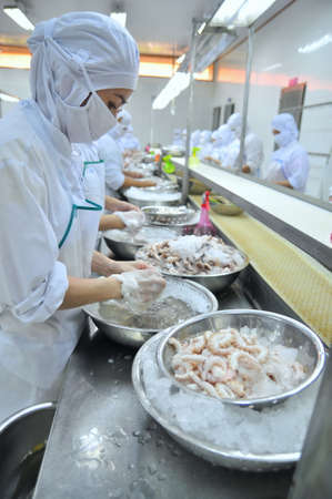 VUNG TAU, VIETNAM - DECEMBER 9, 2014: Workers are classifying octopus for exporting in a seafood processing factoryのeditorial素材