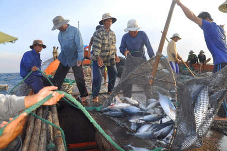 NHA TRANG, VIETNAM - MAY 5, 2012: Fishermen are collecting tuna fish caught by trawl nets in the sea of the Nha Trang bayのeditorial素材