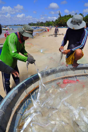 LAGI, VIETNAM - FEBRUARY 26, 2012: Local fishermen are removing fishes from their fishing nets in the Lagi beachのeditorial素材