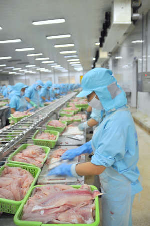 CAN THO, VIETNAM - JULY 1, 2011: Workers are filleting pangasius catfish in a seafood factory in the Mekong delta of Vietnamのeditorial素材