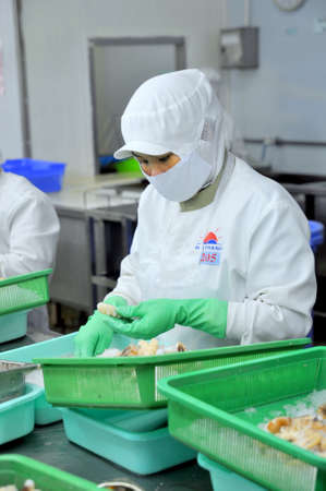 HO CHI MINH CITY, VIETNAM - OCTOBER 3, 2011: Workers are cutting raw fresh octopus in a seafood factory in Ho Chi Minh city, Vietnamのeditorial素材