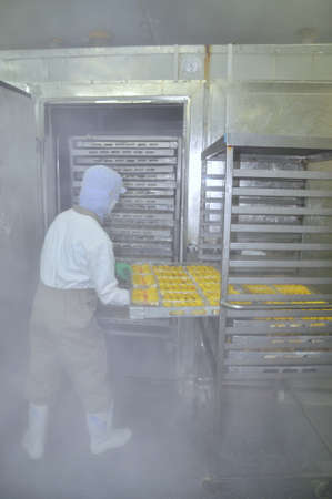 HO CHI MINH CITY, VIETNAM - OCTOBER 3, 2011: Workers are working hard in a cold environment in a seafood factory in Ho Chi Minh city, Vietnamのeditorial素材