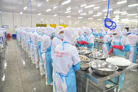 PHAN RANG, VIETNAM - DECEMBER 29, 2014: Workers are peeling and processing fresh raw shrimps in a seafood factory in Vietnamのeditorial素材