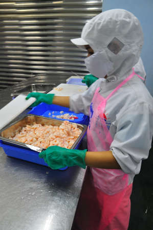 HO CHI MINH CITY, VIETNAM - OCTOBER 3, 2011: Shrimps are being peeled and ready to be steamed in a seafood factoryのeditorial素材