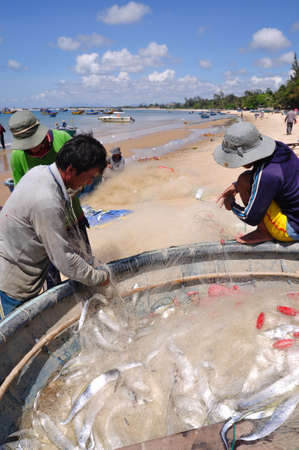 LAGI, VIETNAM - FEBRUARY 26, 2012: Local fishermen are removing fishes from their fishing nets in the Lagi beachのeditorial素材