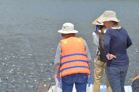 DONG THAP, VIETNAM - MARCH 1, 2013: International reporters and journalists are visiting a pangasius catfish farm in the mekong delta of Vietnamのeditorial素材