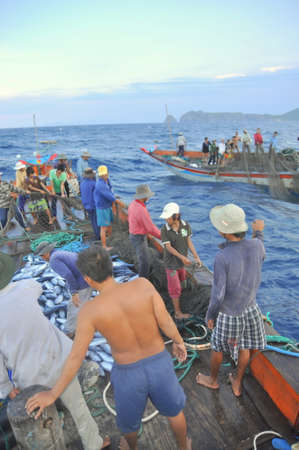 NHA TRANG, VIETNAM - MAY 5, 2012: Fishermen are collecting tuna fish caught by trawl nets in the sea of the Nha Trang bayのeditorial素材