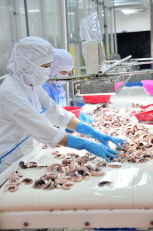 VUNG TAU, VIETNAM - DECEMBER 9, 2014: Workers are classifying octopus for exporting in a seafood processing factoryのeditorial素材