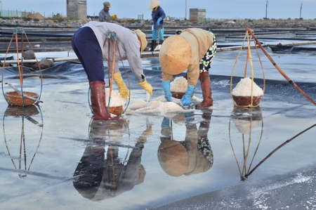 NINH HOA, VIETNAM - MARCH 2, 2012: Vietnamese women are burdening hard to collect salt from the extract fields to the storage fieldsのeditorial素材