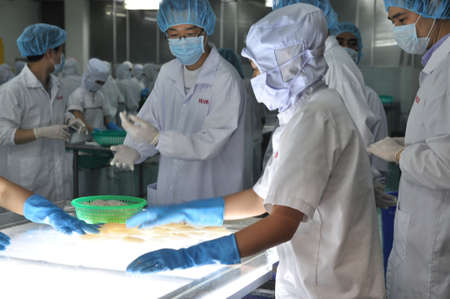 PHAN THIET, VIETNAM - DECEMBER 11, 2014:  Workers are testing the color of squids for exporting in a seafood factory in Vietnamのeditorial素材