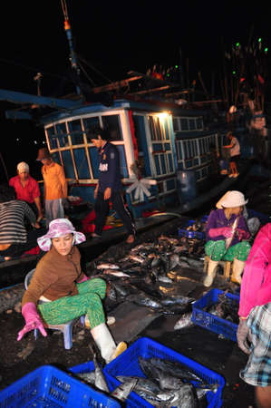NHA TRANG, VIETNAM - FEBRUARY 21, 2013: Fishes are collected and sorted into baskets before loading onto the truck at the Hon Ro seaport, Nha Trang cityのeditorial素材