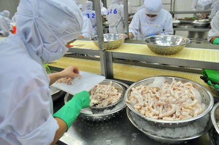 VUNG TAU, VIETNAM - DECEMBER 9, 2014: Workers are cutting octopus for exporting in a seafood processing factoryのeditorial素材