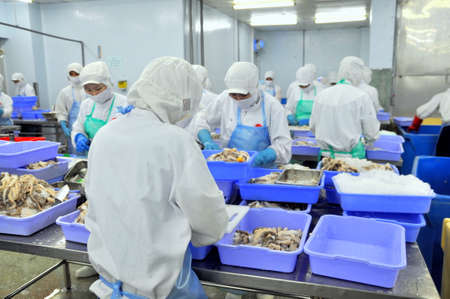 HO CHI MINH CITY, VIETNAM - OCTOBER 3, 2011: Workers are working hard in a seafood factory in Ho Chi Minh city, Vietnamのeditorial素材